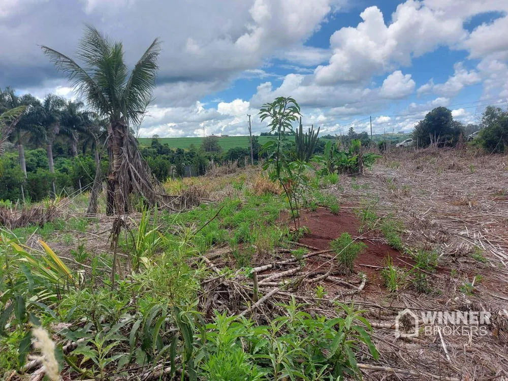 Chácara à venda com 1 quarto, 3850M2 - Foto 2