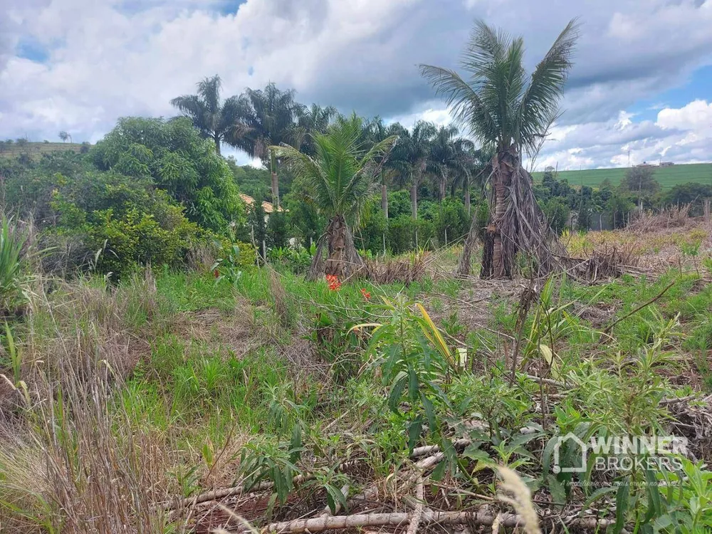 Chácara à venda com 1 quarto, 3850M2 - Foto 10