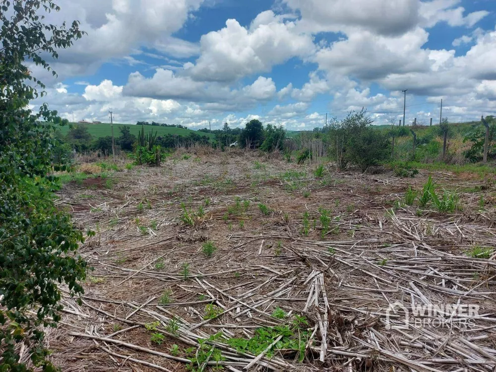 Chácara à venda com 1 quarto, 3850M2 - Foto 6