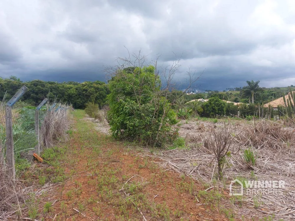 Chácara à venda com 1 quarto, 3850M2 - Foto 5