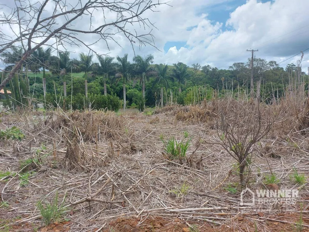 Chácara à venda com 1 quarto, 3850M2 - Foto 7