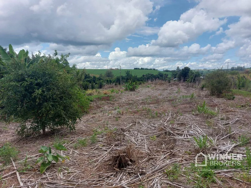 Chácara à venda com 1 quarto, 3850M2 - Foto 3