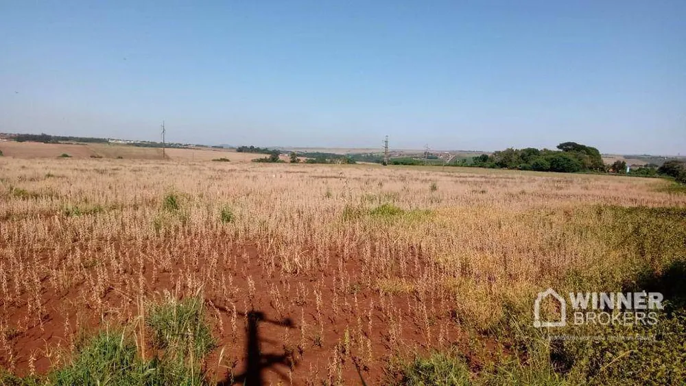 Terreno, 15 hectares - Foto 4
