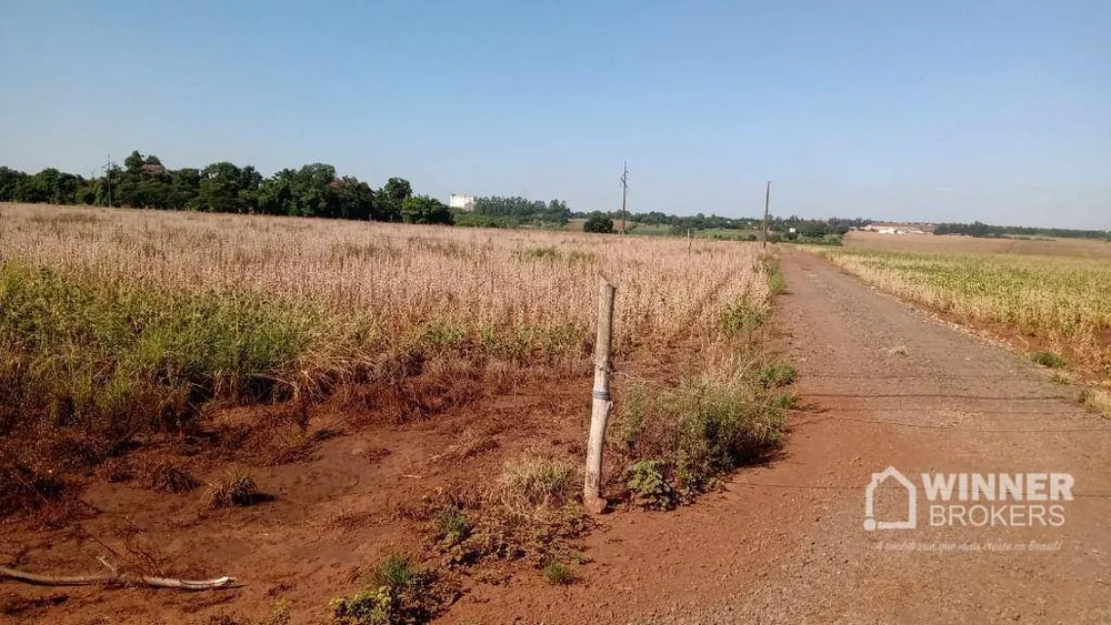 Terreno, 15 hectares - Foto 6