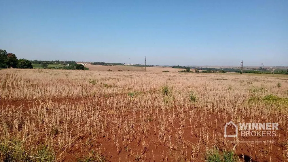 Terreno, 15 hectares - Foto 2