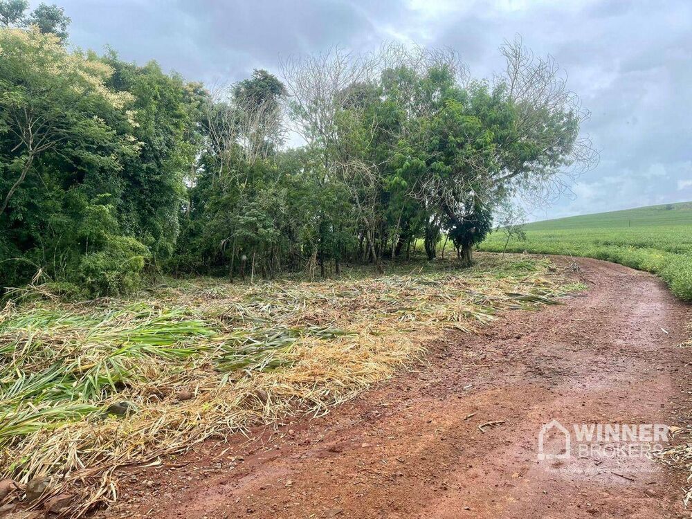 Terreno à venda, 6060M2 - Foto 2