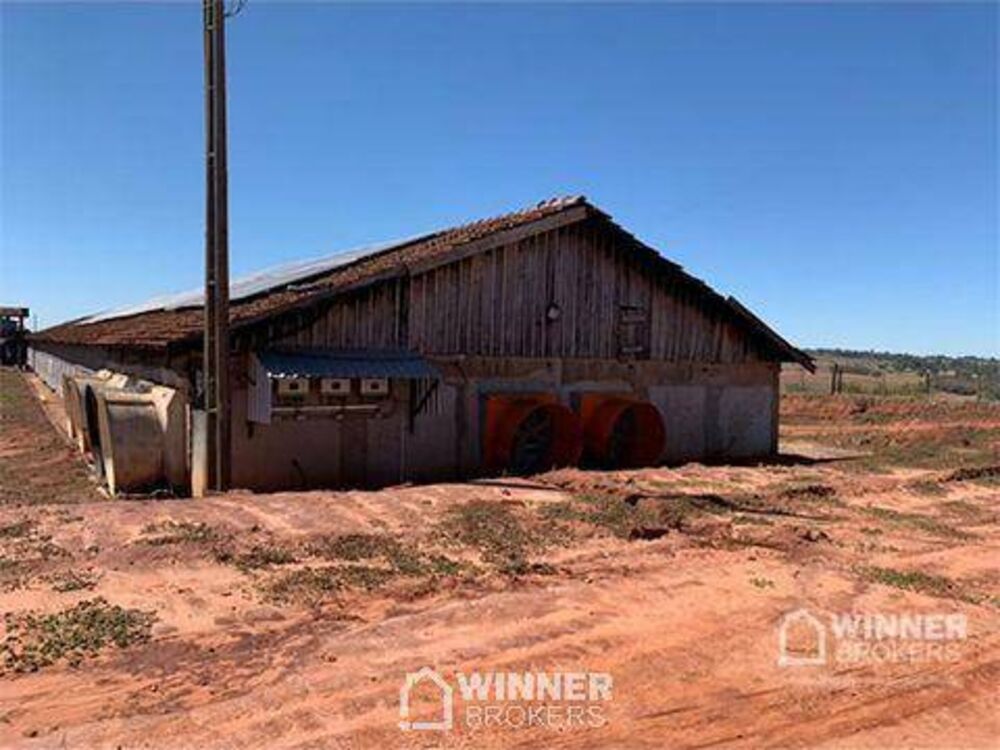 Sítio, 2 hectares - Foto 1