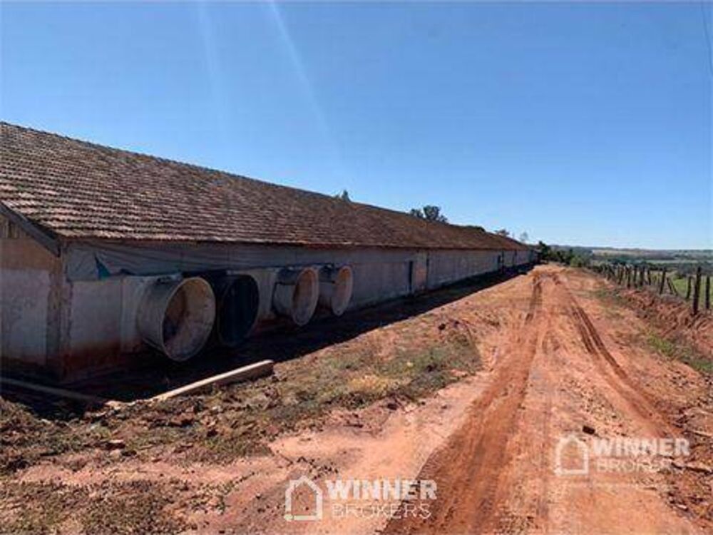 Sítio, 2 hectares - Foto 2