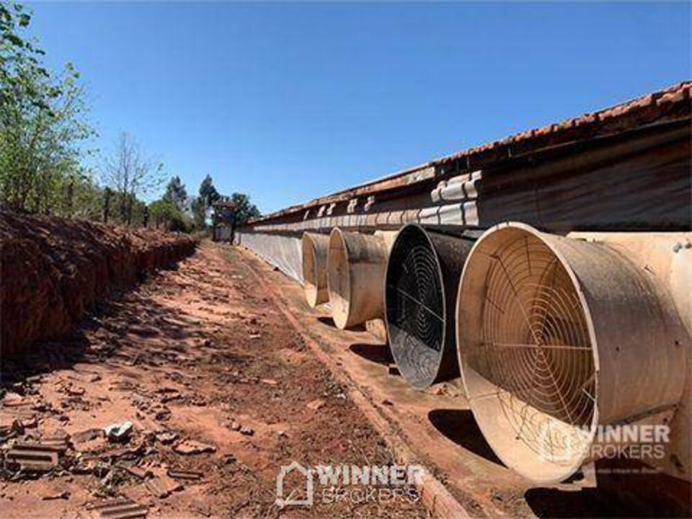 Sítio, 2 hectares - Foto 3