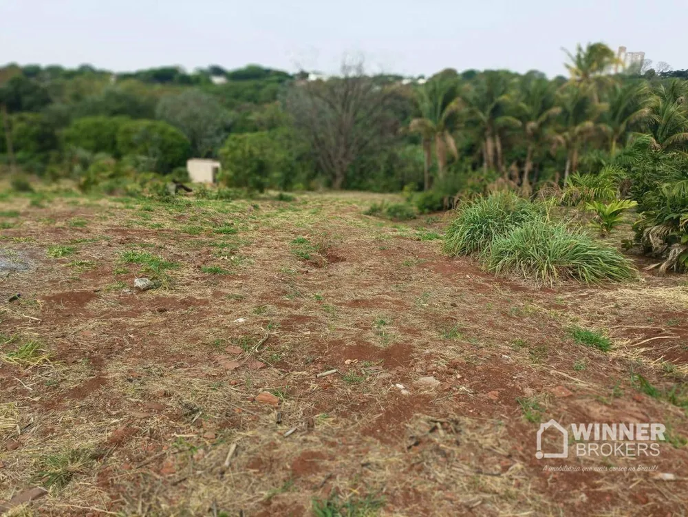 Terreno, 1 hectares - Foto 2