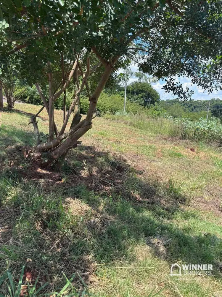 Terreno, 255 m² - Foto 2
