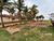 Chácara, 3 quartos, 2 hectares - Foto 2