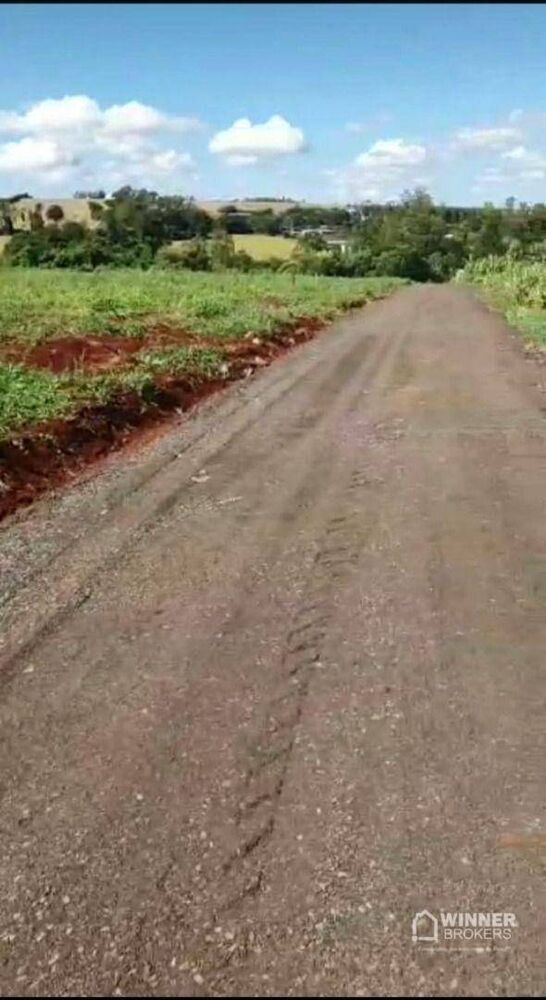 Terreno, 1000 m² - Foto 1