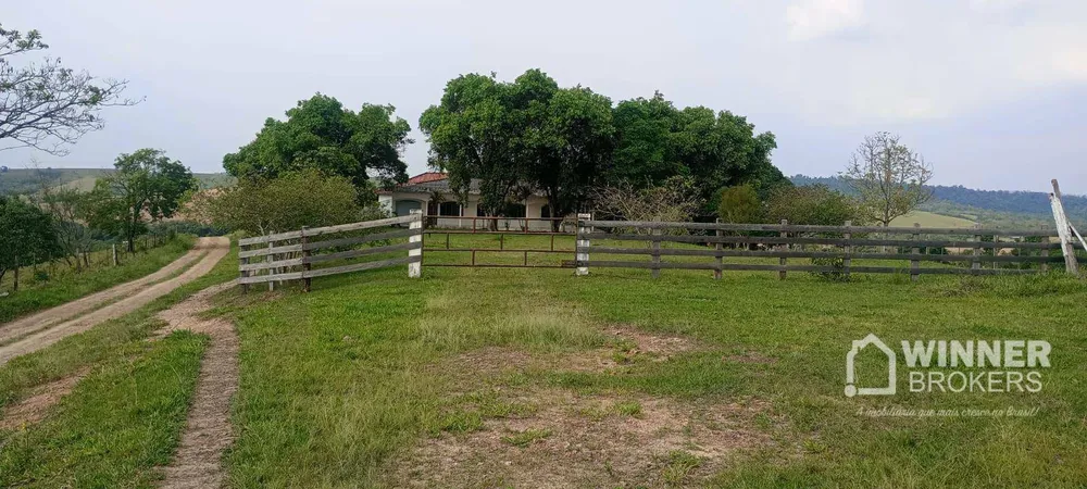 Fazenda, 290 hectares - Foto 7