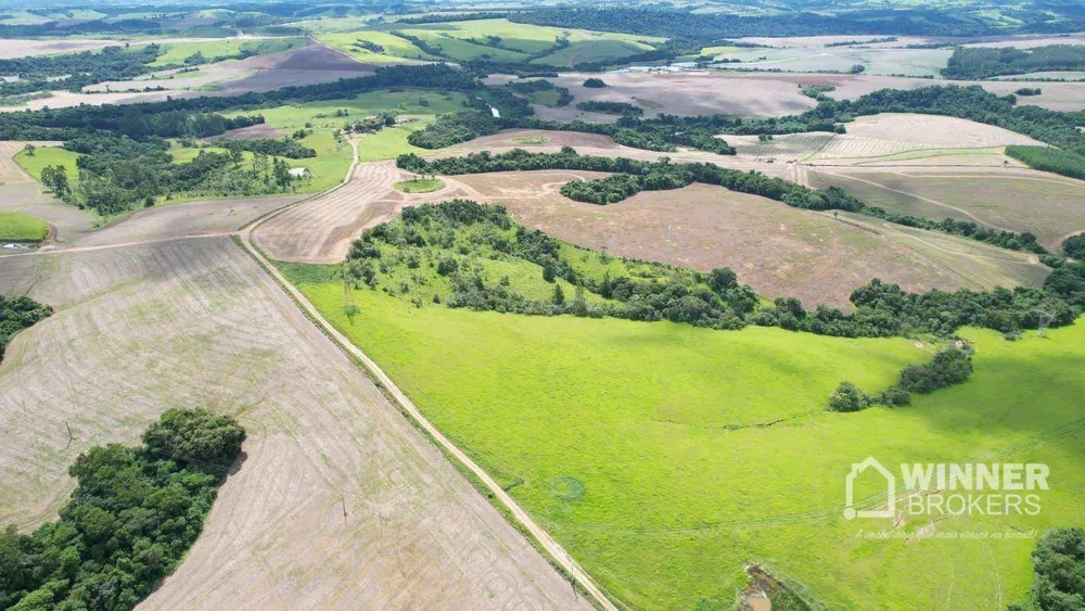 Fazenda, 290 hectares - Foto 1