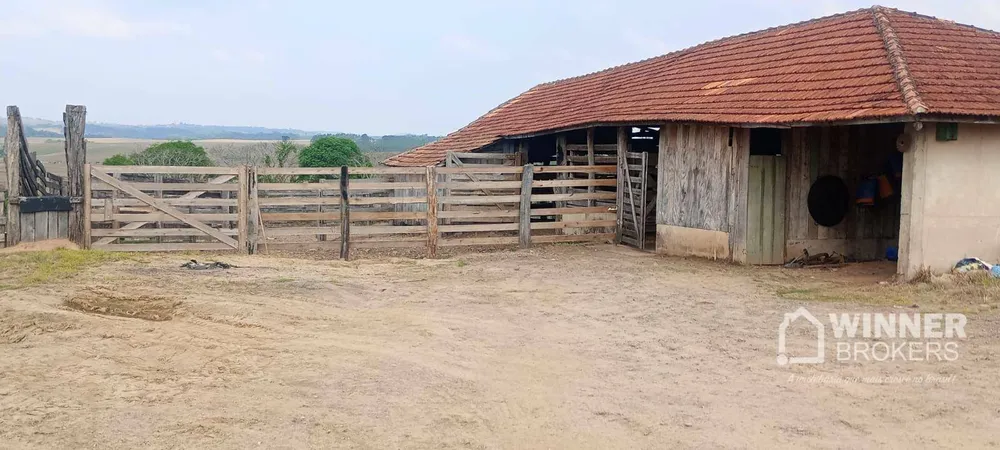 Fazenda, 290 hectares - Foto 6
