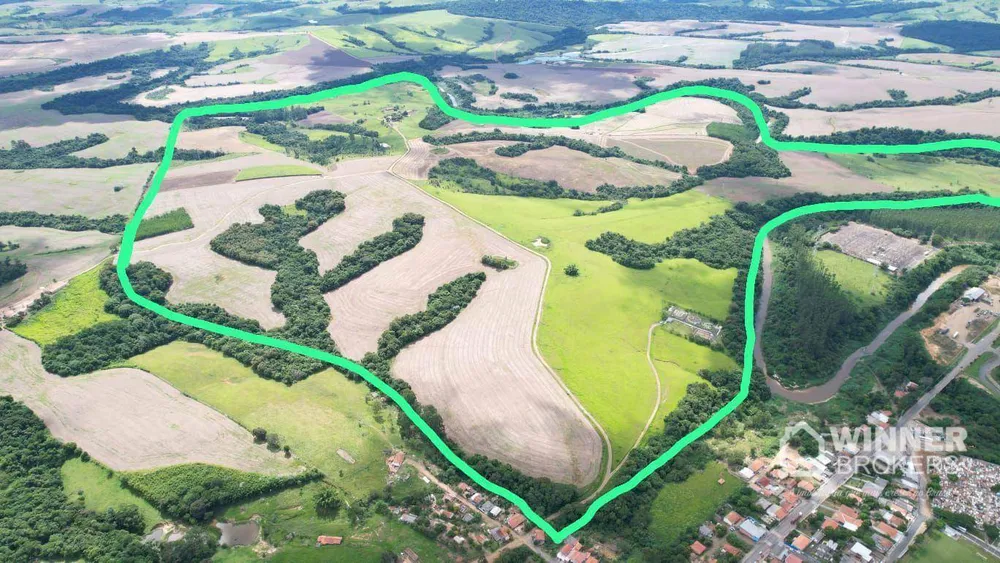 Fazenda, 290 hectares - Foto 3