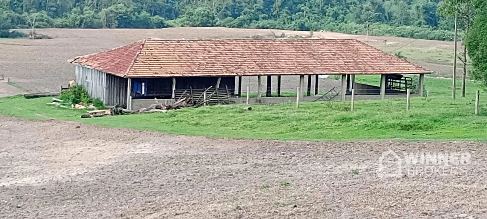 Fazenda, 290 hectares - Foto 8