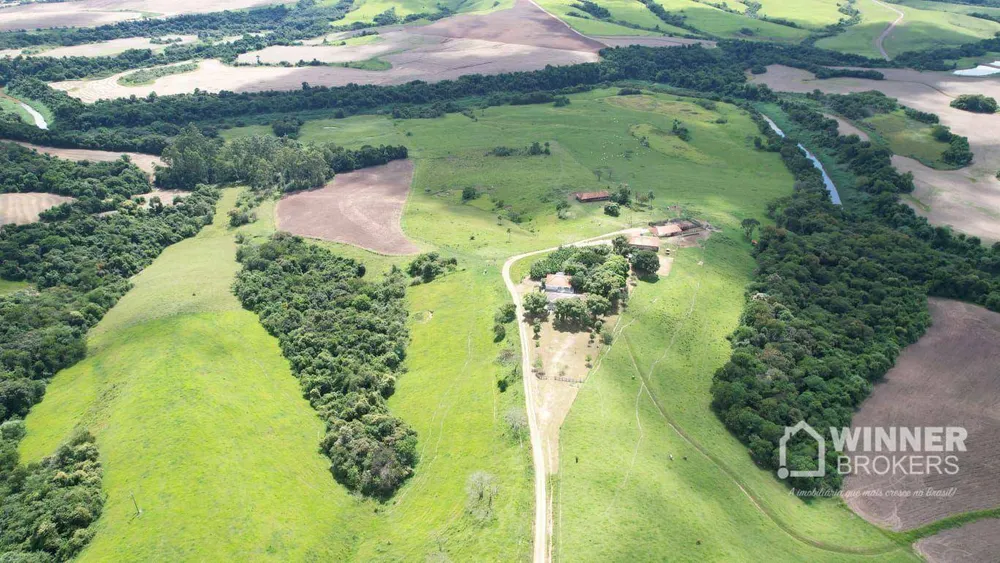 Fazenda, 290 hectares - Foto 4