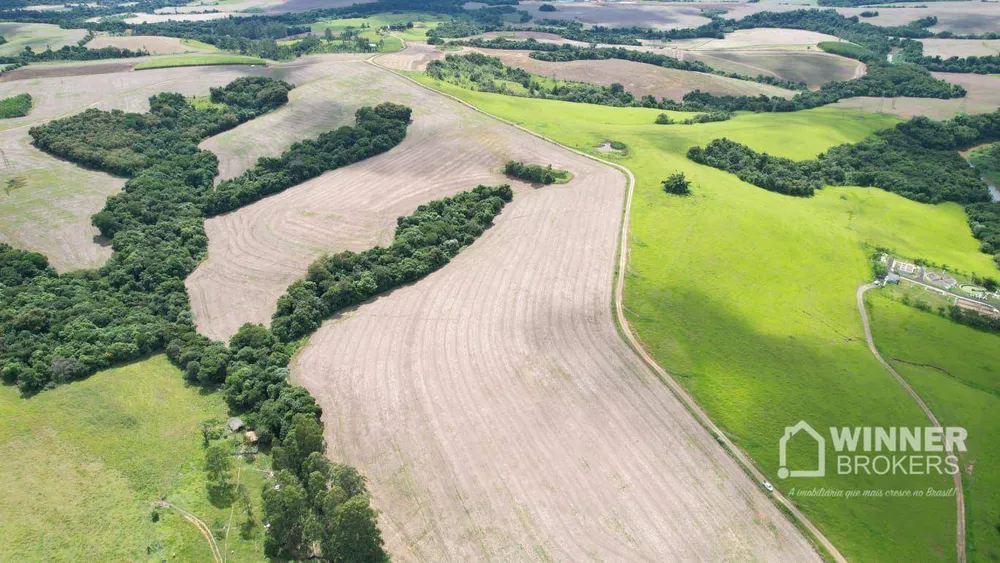 Fazenda, 290 hectares - Foto 2