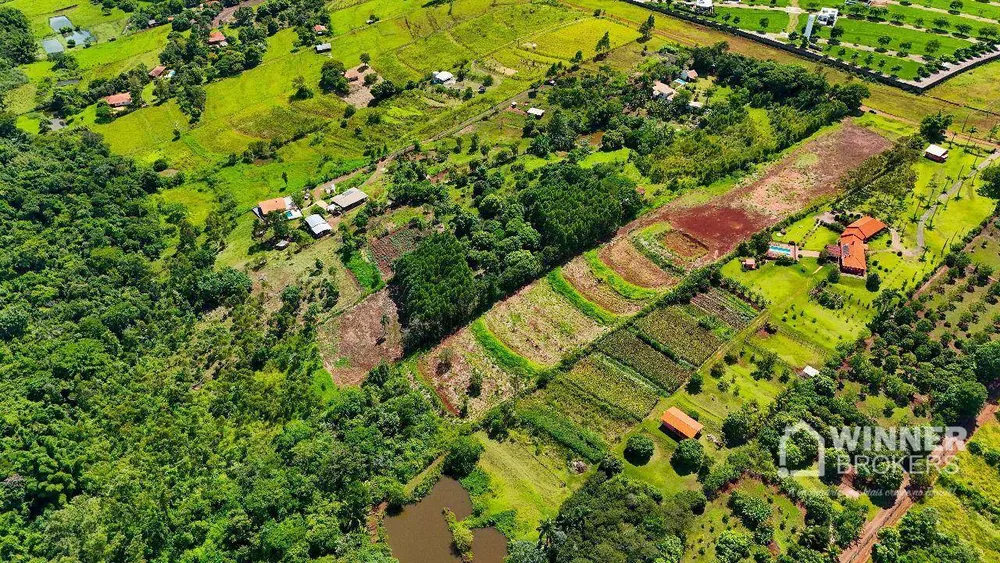 Terreno, 2 hectares - Foto 4