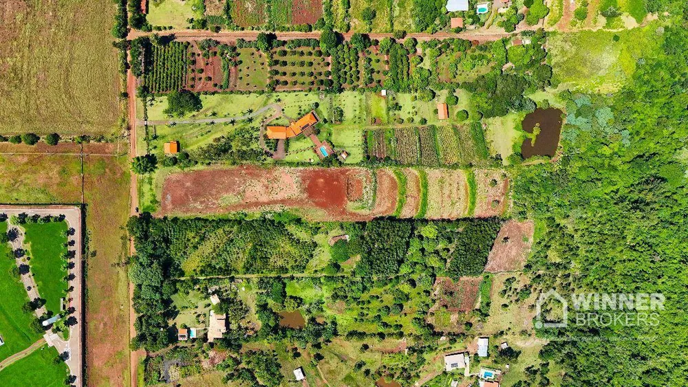 Terreno, 2 hectares - Foto 6