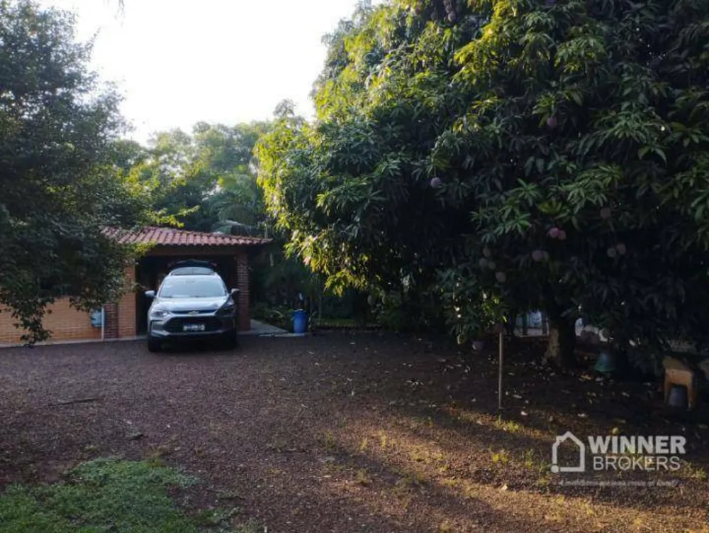 Terreno, 3 hectares - Foto 6