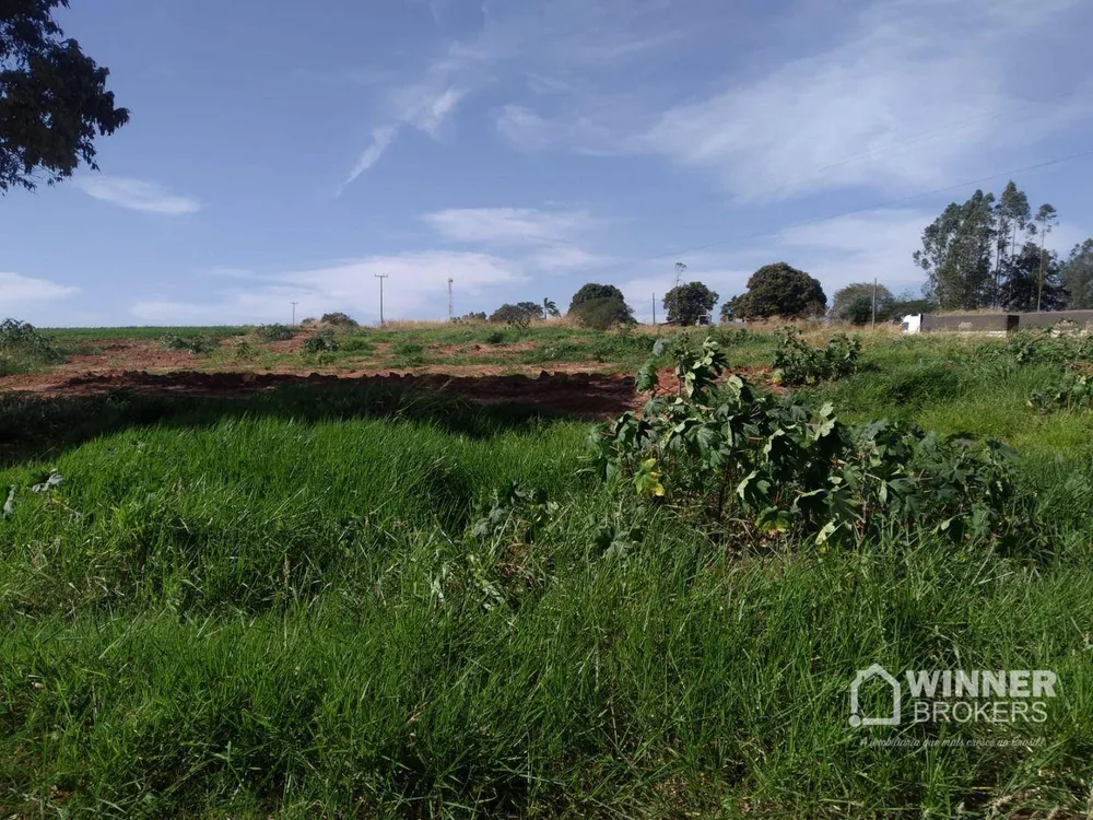 Chácara, 1 quarto, 1 hectares - Foto 4