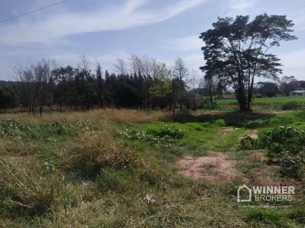Chácara, 1 quarto, 1 hectares - Foto 7