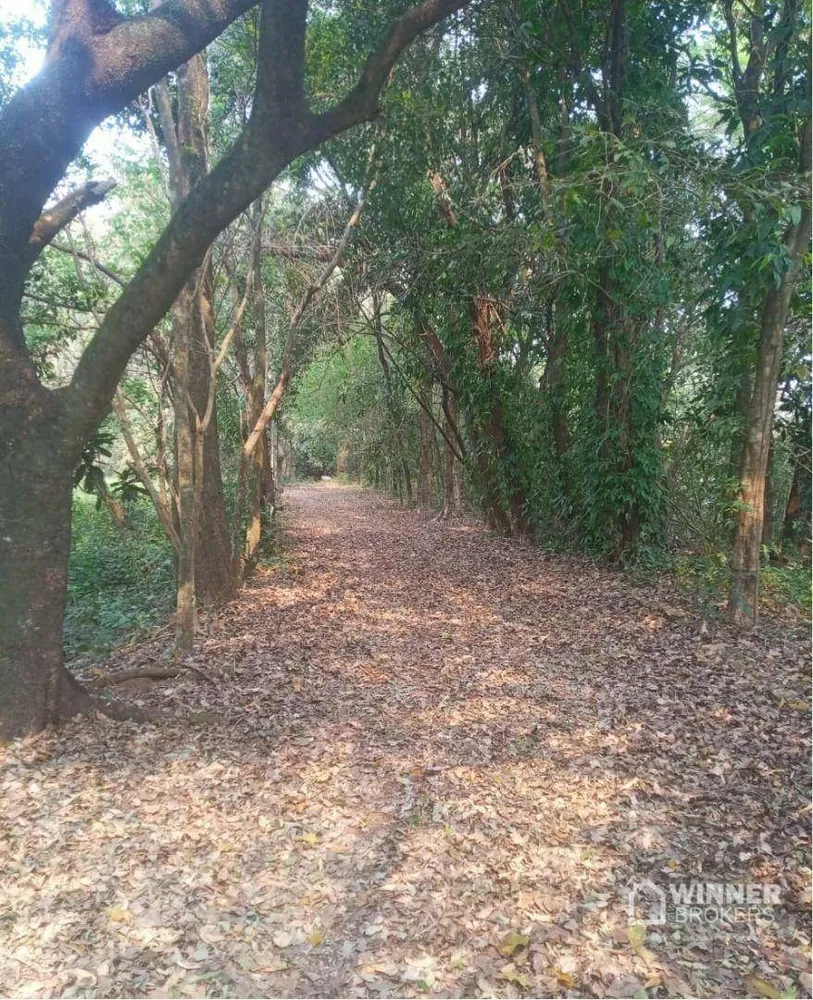 Chácara, 5 quartos, 1 hectares - Foto 6