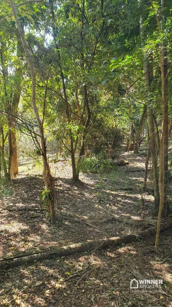 Chácara, 5 quartos, 1 hectares - Foto 8