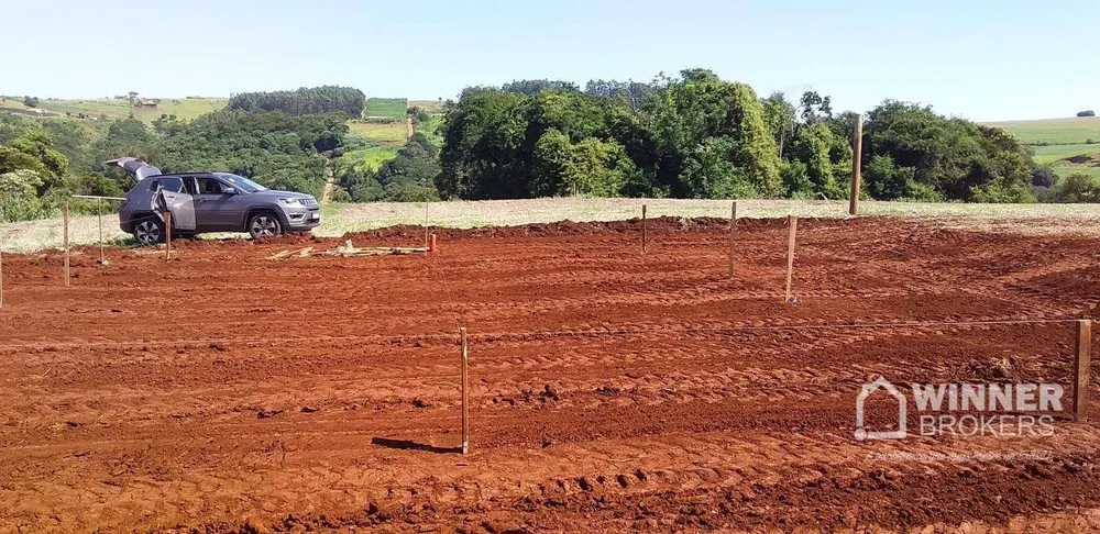 Chácara, 4 hectares - Foto 4