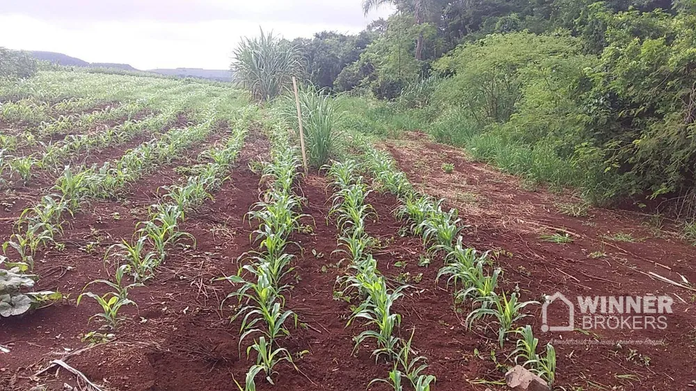 Chácara, 4 hectares - Foto 10