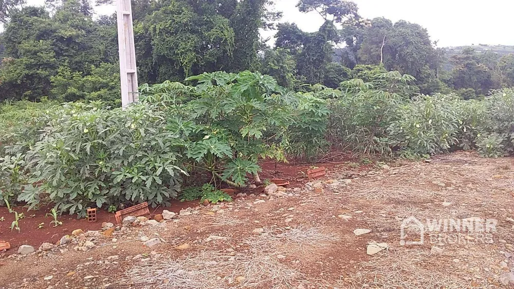 Chácara, 4 hectares - Foto 8
