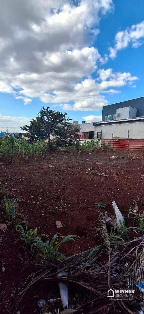 Terreno, 300 m² - Foto 5