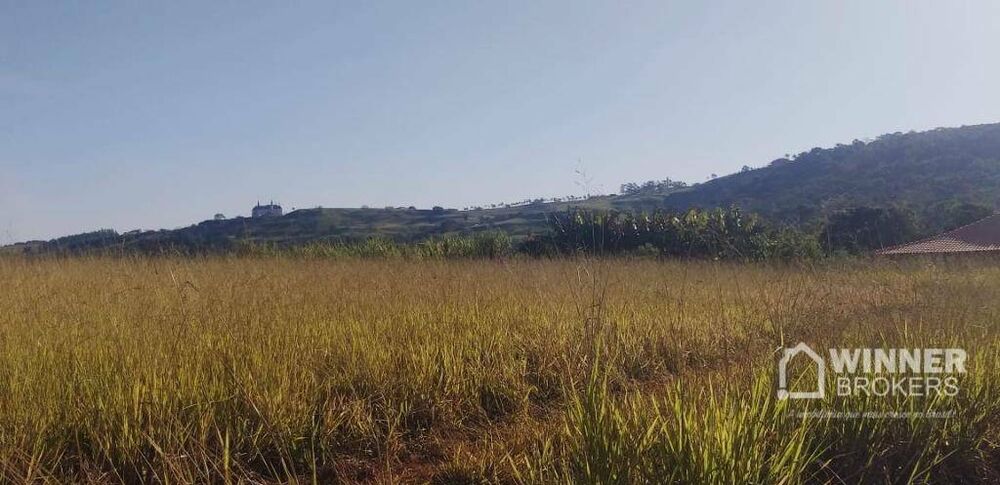 Chácara à venda com 1 quarto, 1000M2 - Foto 1