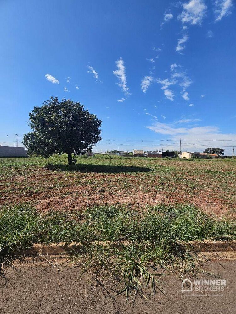 Terreno à venda, 162M2 - Foto 2