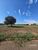 Terreno, 162 m² - Foto 2