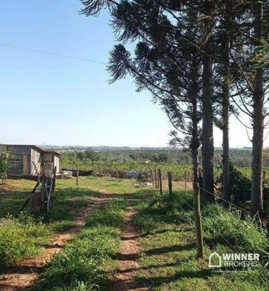 Chácara, 10000 m² - Foto 7