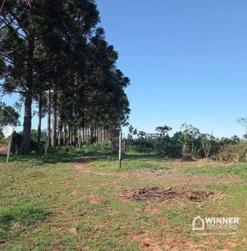 Chácara, 10000 m² - Foto 4
