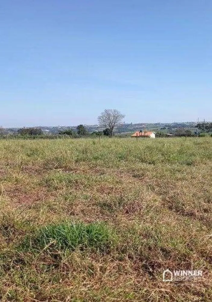 Chácara, 10000 m² - Foto 2