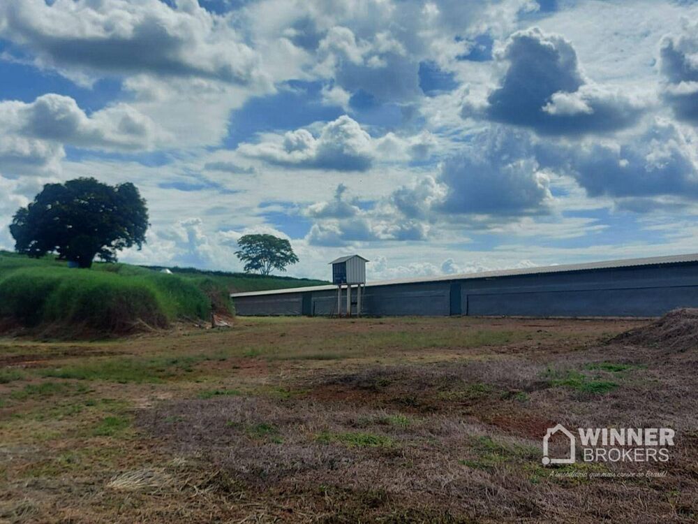 Sítio, 2 quartos, 10 hectares - Foto 11