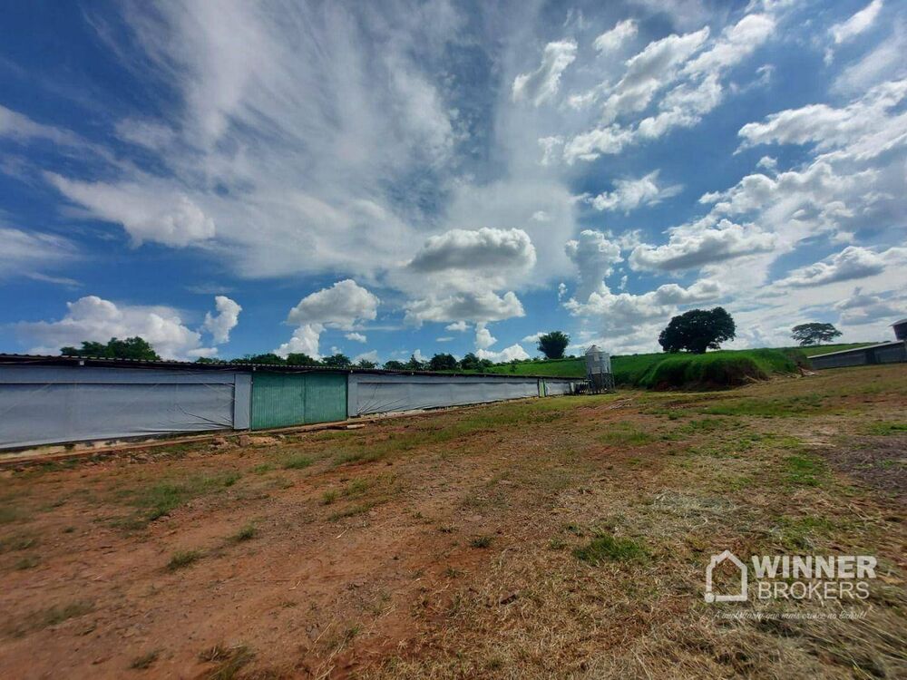 Sítio, 2 quartos, 10 hectares - Foto 10