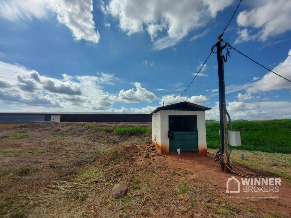 Sítio, 2 quartos, 10 hectares - Foto 9