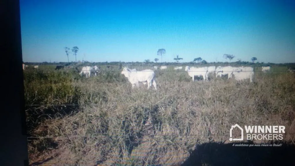 Fazenda, 2004 hectares - Foto 12
