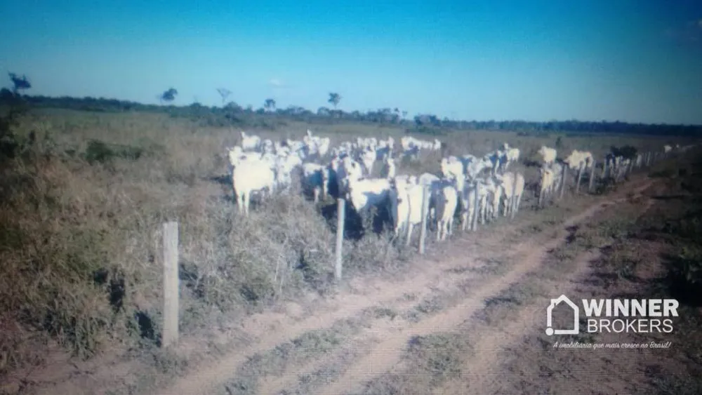 Fazenda, 2004 hectares - Foto 3