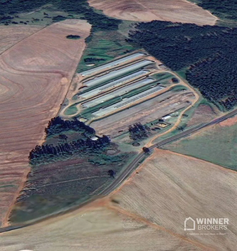 Fazenda, 12 hectares - Foto 4