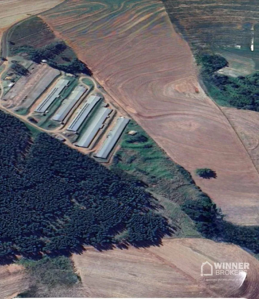 Fazenda, 12 hectares - Foto 1