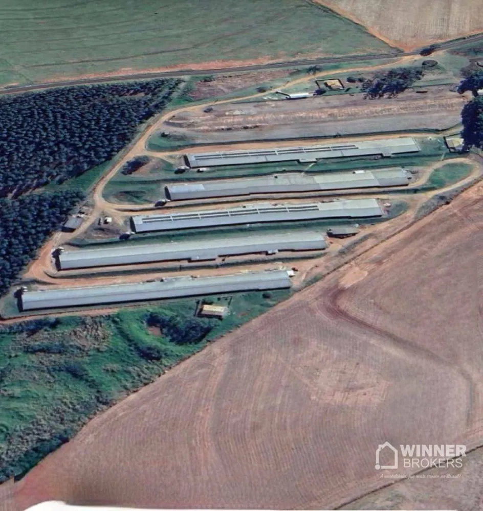 Fazenda, 12 hectares - Foto 6