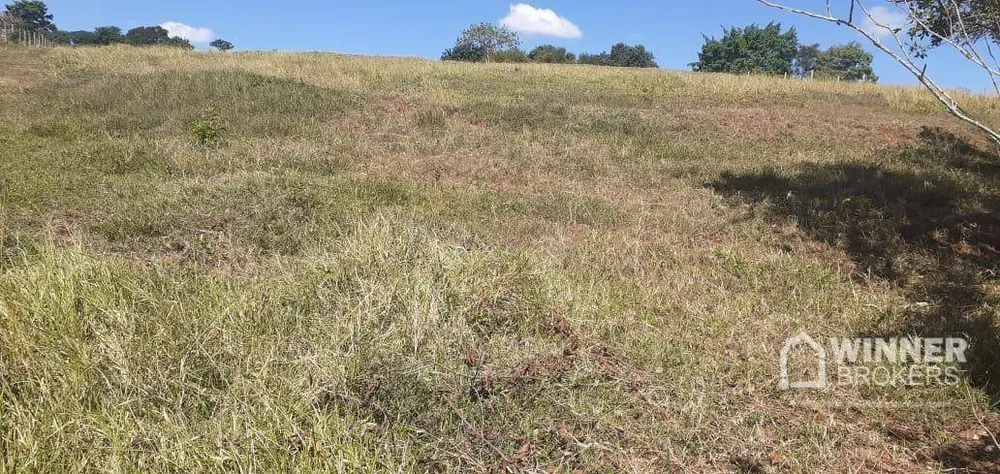 Sítio, 2 quartos, 2 hectares - Foto 3